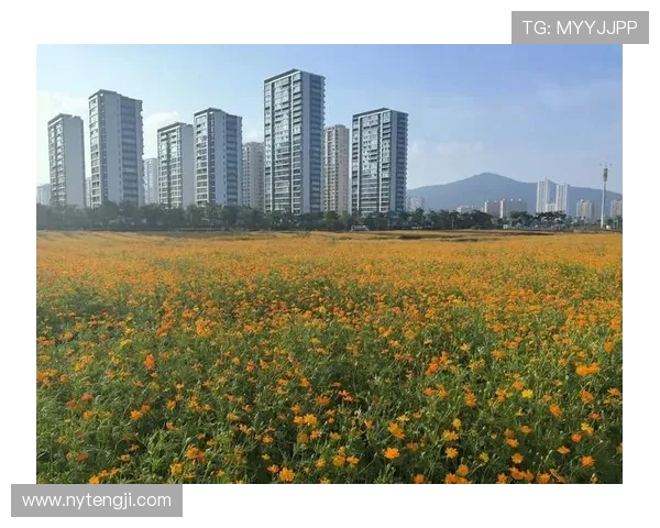 花海王者引领浪漫盛景打造缤纷梦幻世界尽显自然之美 花海王者引领浪漫盛景打造缤纷梦幻世界尽显自然之美