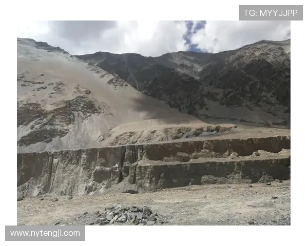 篮球之梦:从街头到职业赛场的成长与挑战之路 篮球之梦:从街头到职业赛场的成长与挑战之路