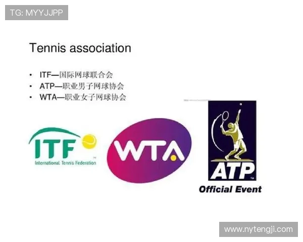 网球运动的发展历程及其在全球体育文化中的影响力探究