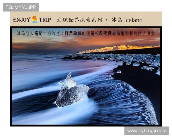 尼古拉武切维奇的艺术之旅与创作探索的深度解析 尼古拉武切维奇的艺术之旅与创作探索的深度解析